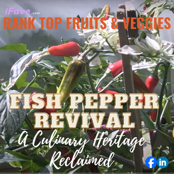 Cover image featuring colorful fish peppers